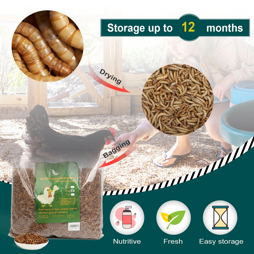 11LB Non-GMO Dried Mealworms L97752