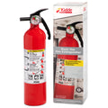 2.5 lbs Fire Extinguisher C59138