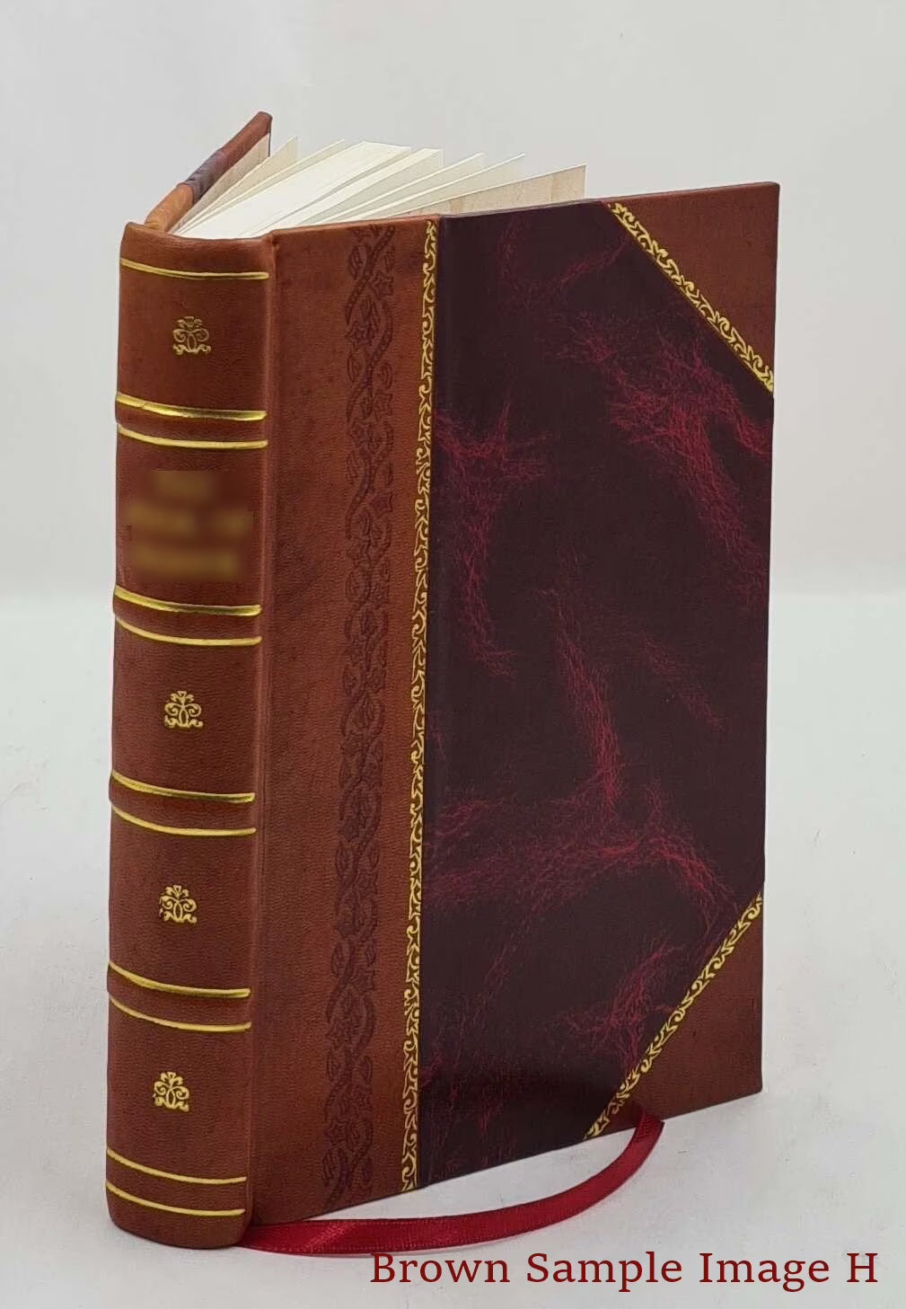 Leather Bound Book W1746