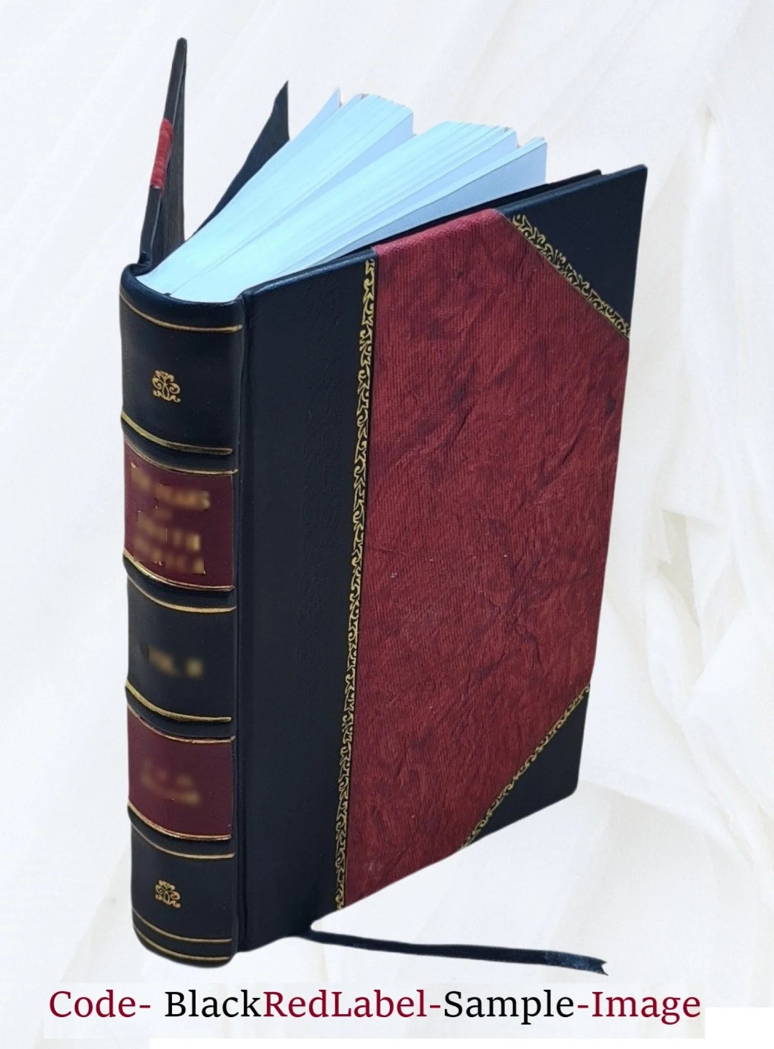 Leather Bound Book W1746